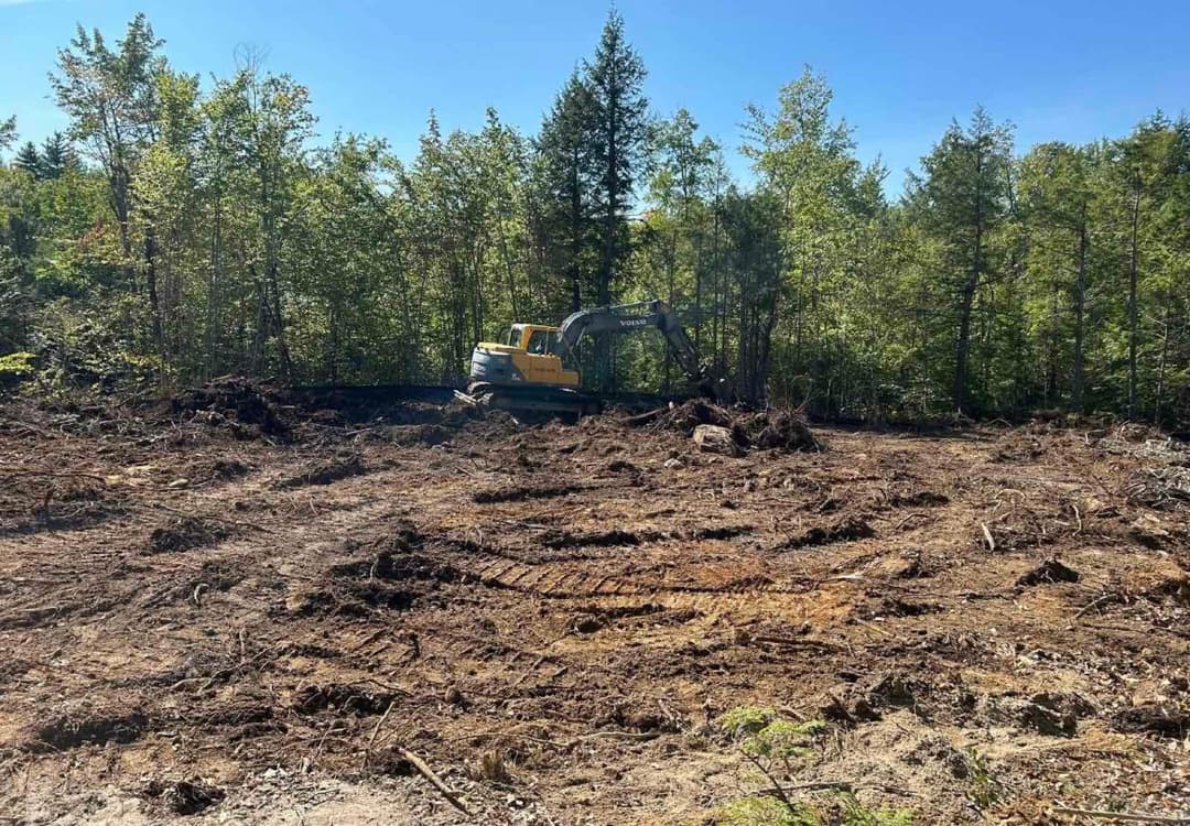 Excavator clearing land in a forested area, surrounded by trees and blue sky.